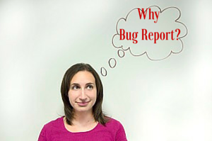 Why bug report